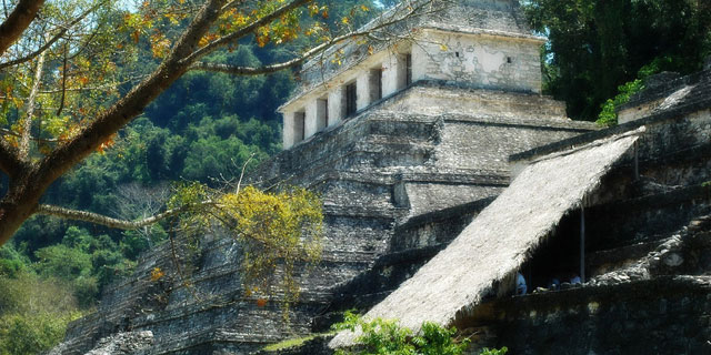 Destination Palenque